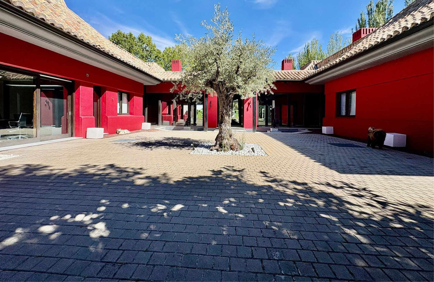 CHALET INDEPENDIENTE EN CALLE CAMINO DE LAS LIEBRES - 1.000 m2