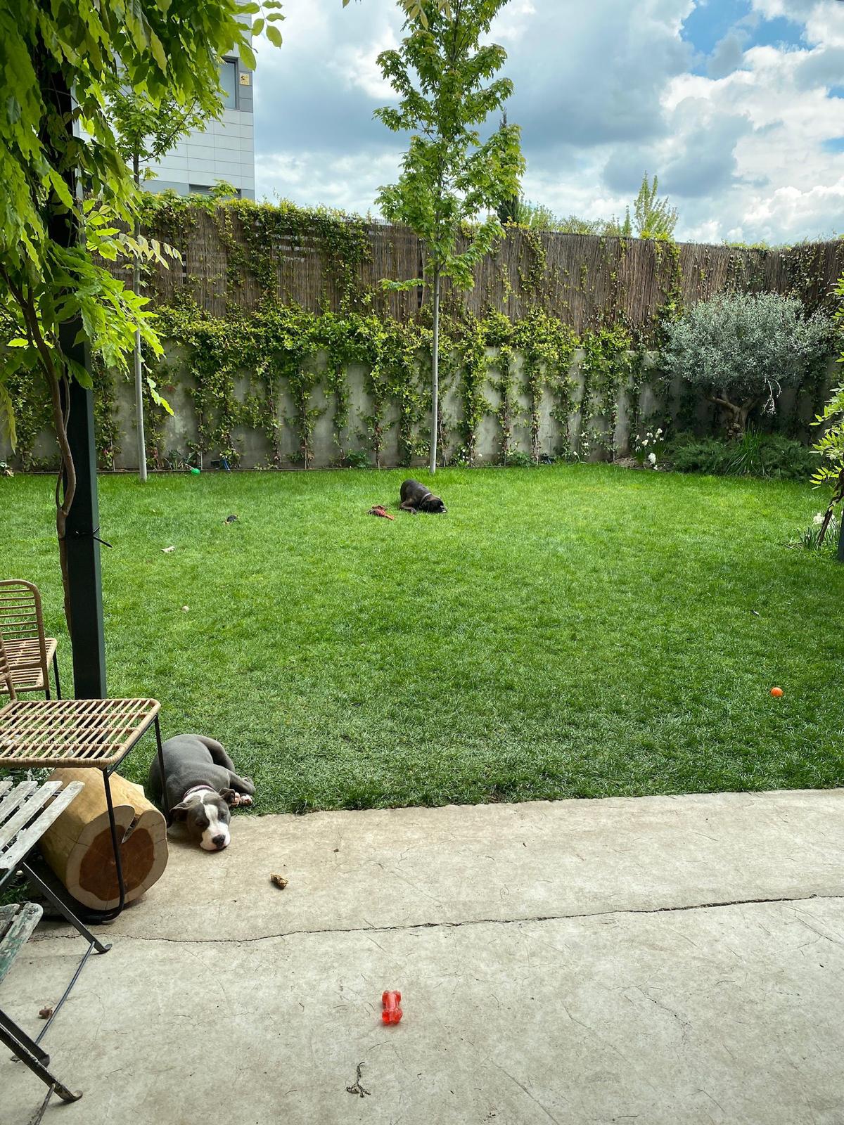 BAJO CON JARDÍN EN FEDUCHI - 165m2