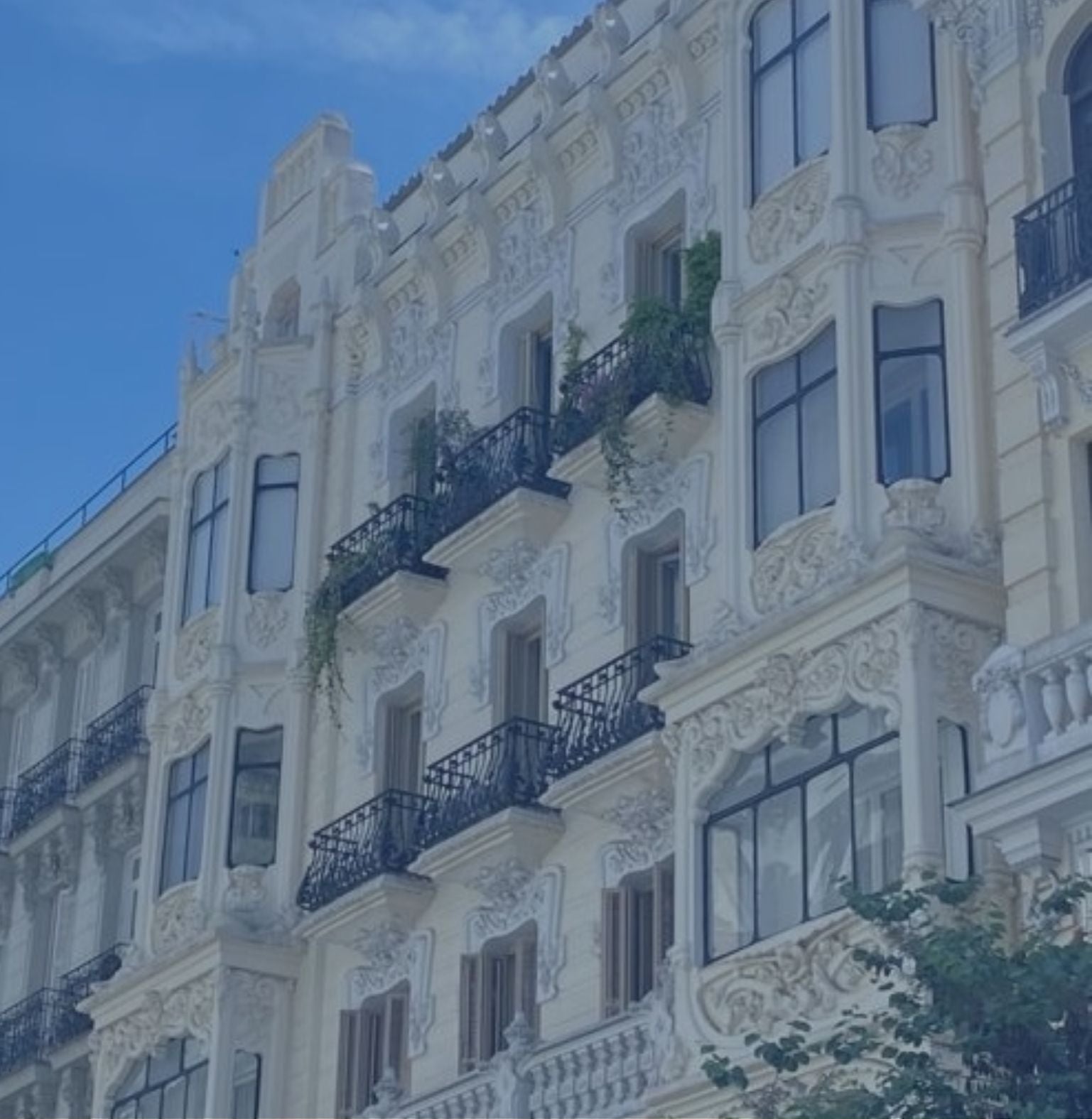 comprar piso Barrio de Salamanca 